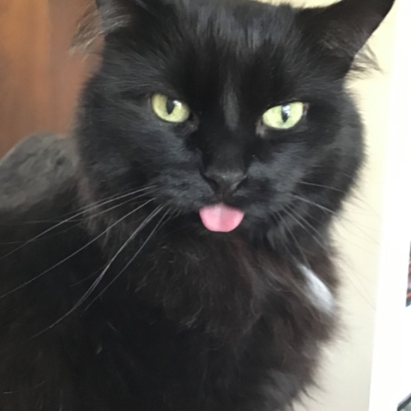 Meet your Posher, Susanne - Picture 10 of 16